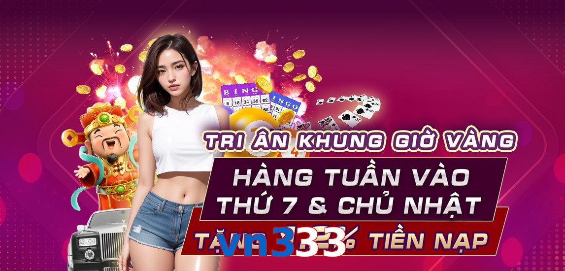 vn333