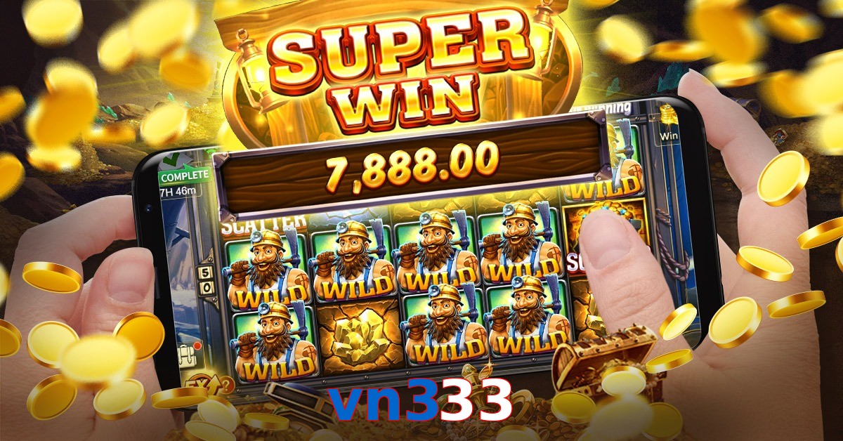 vn333