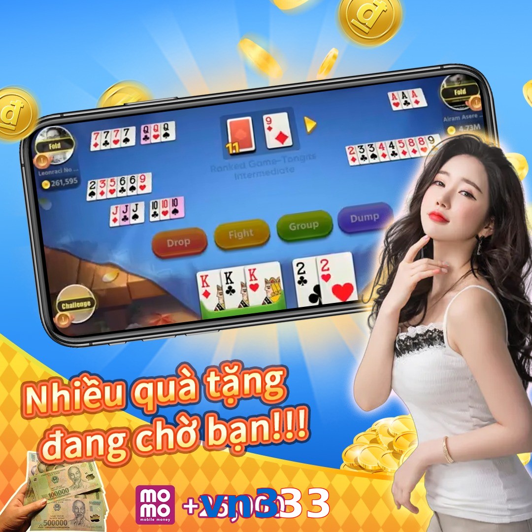 vn333