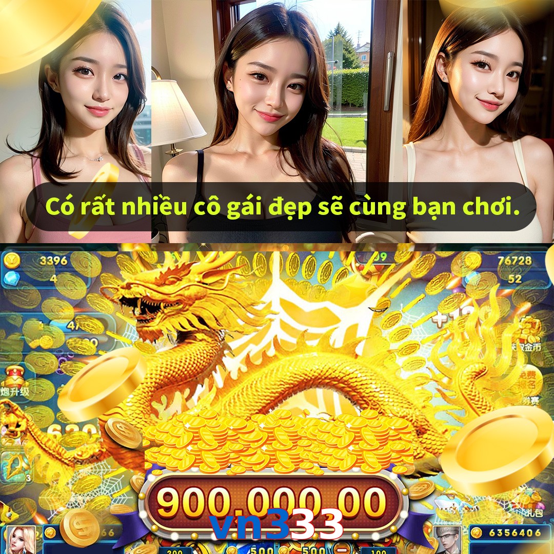 vn333