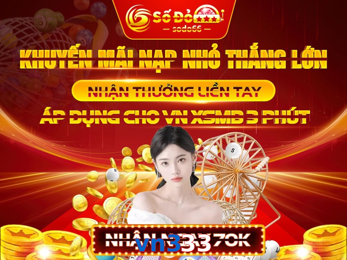 vn333