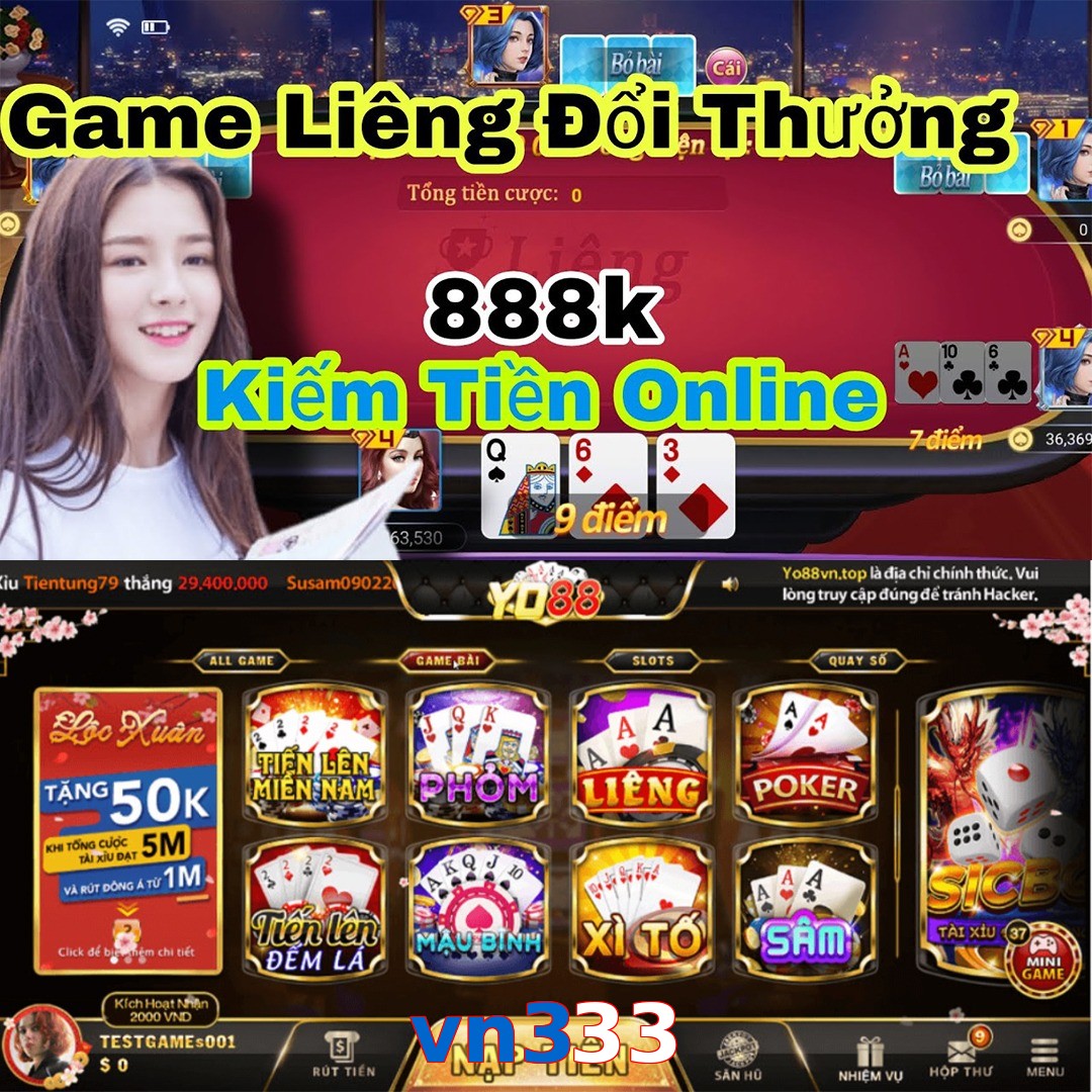 vn333