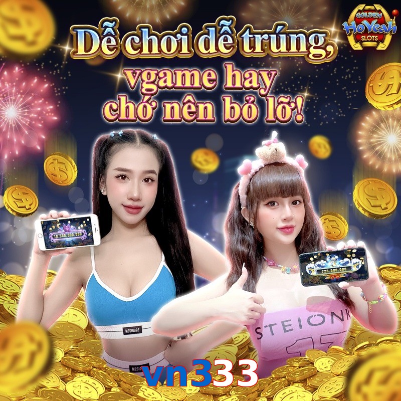 vn333