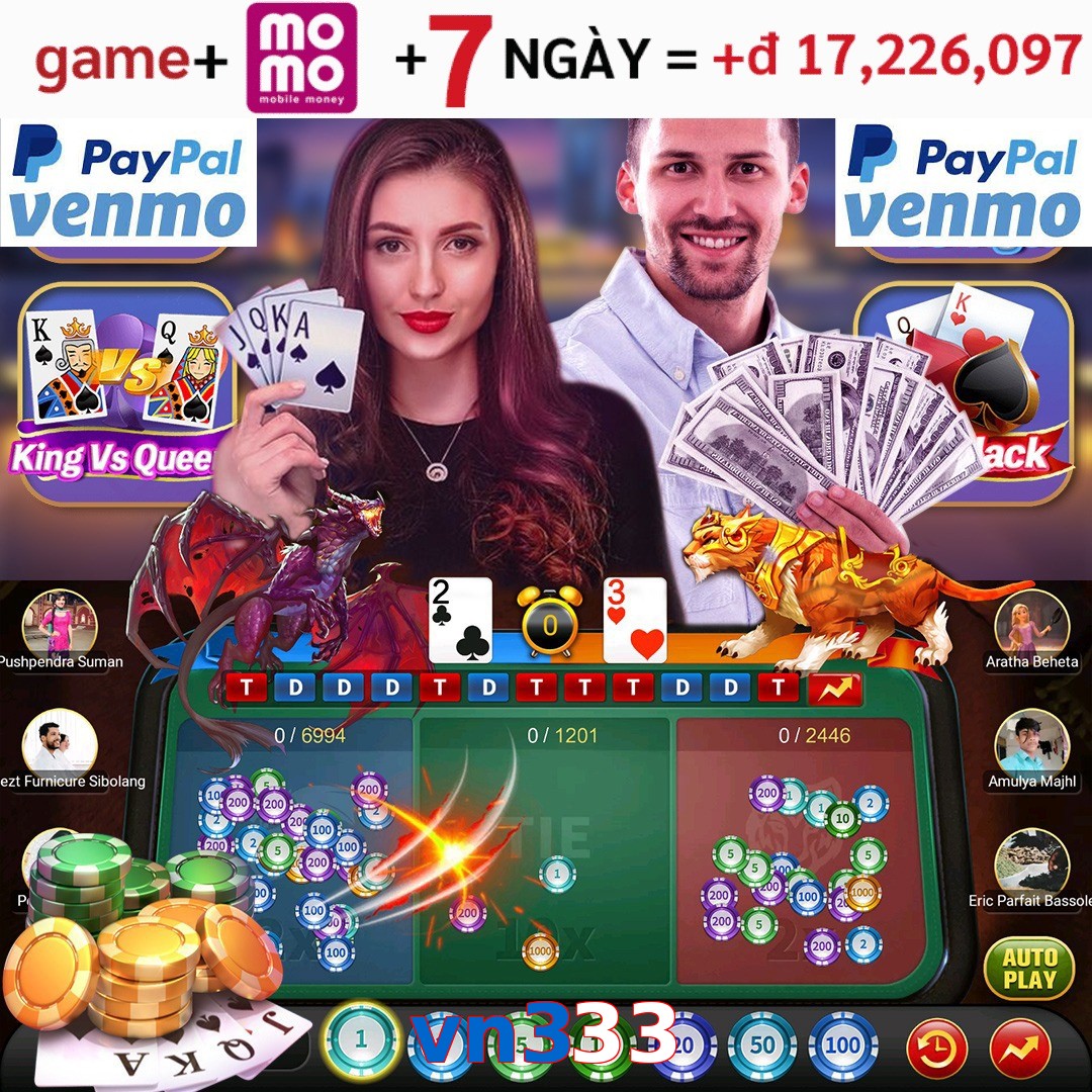 vn333