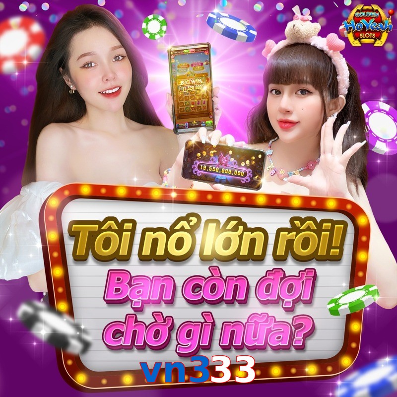 vn333