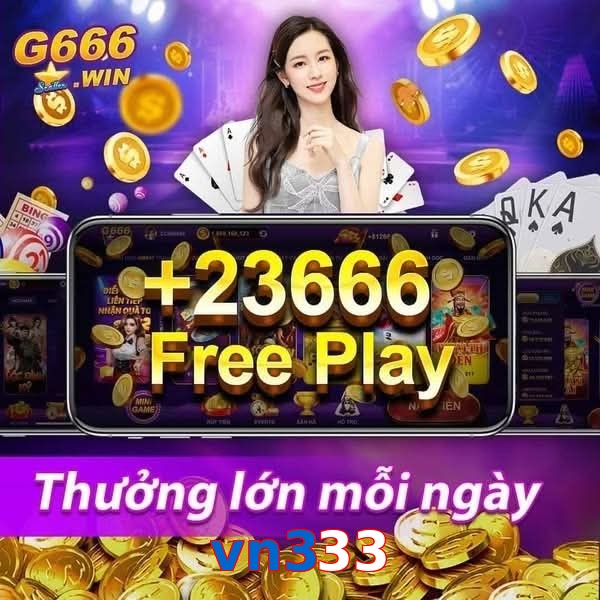 vn333