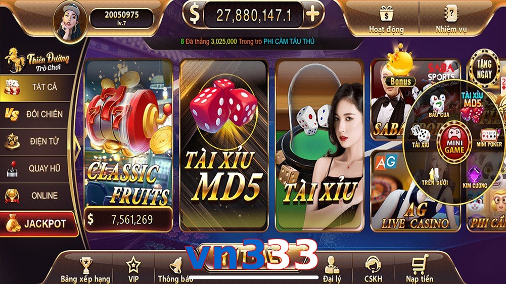 vn333