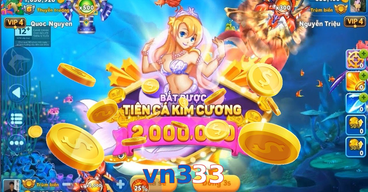 vn333
