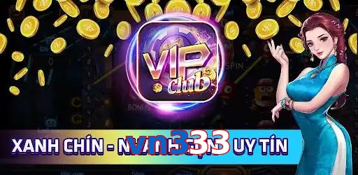 vn333