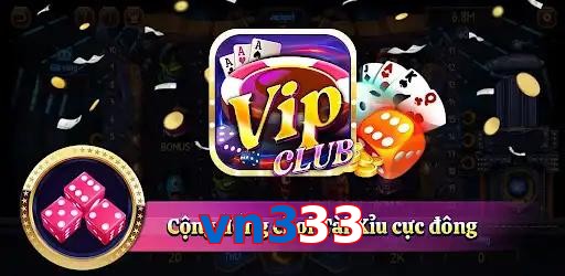vn333
