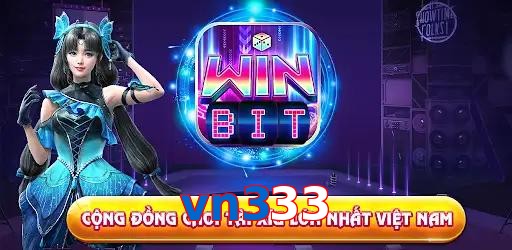 vn333
