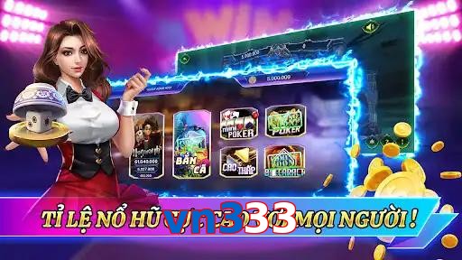 vn333