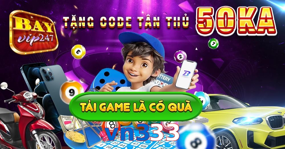 vn333