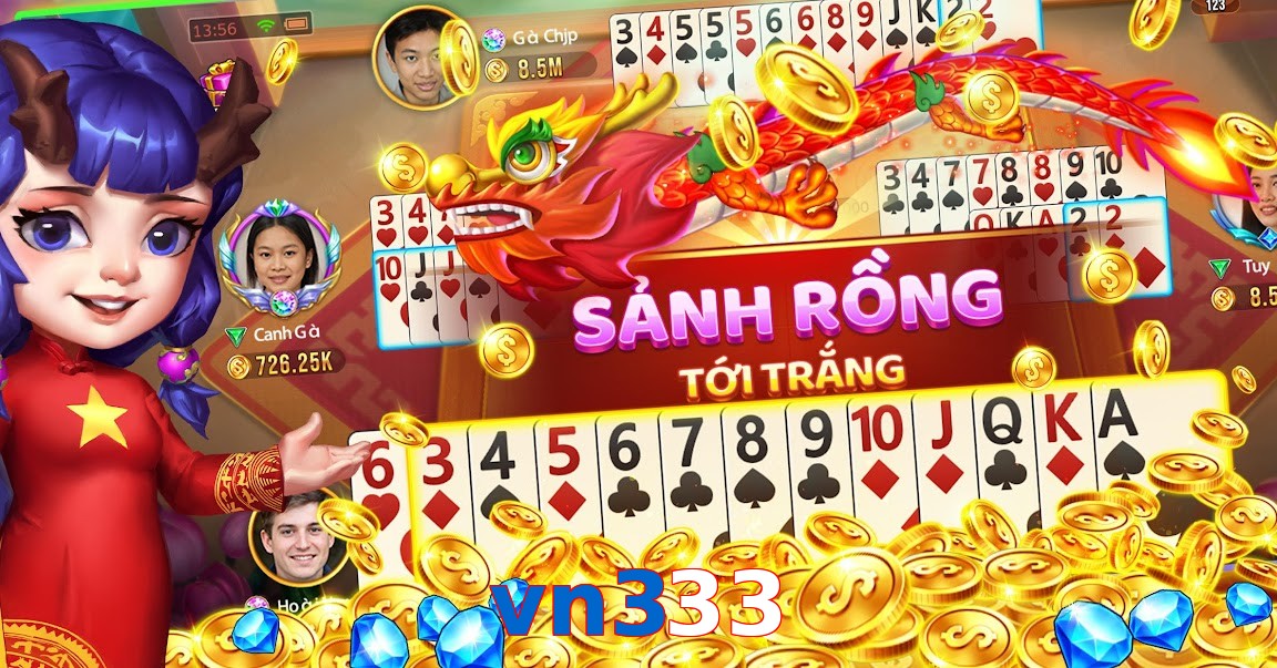 vn333