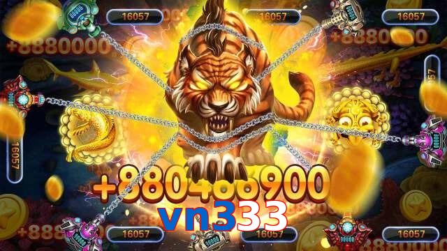 vn333