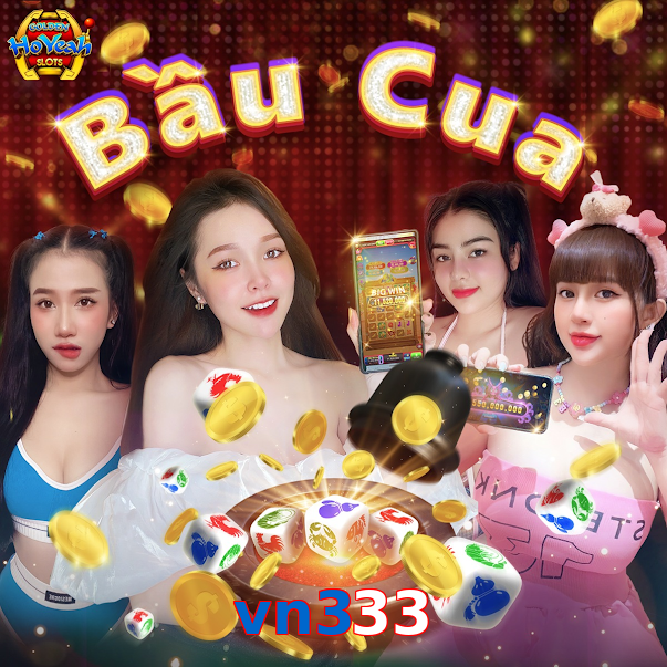 vn333
