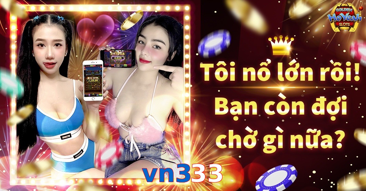 vn333