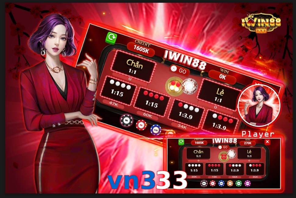 vn333