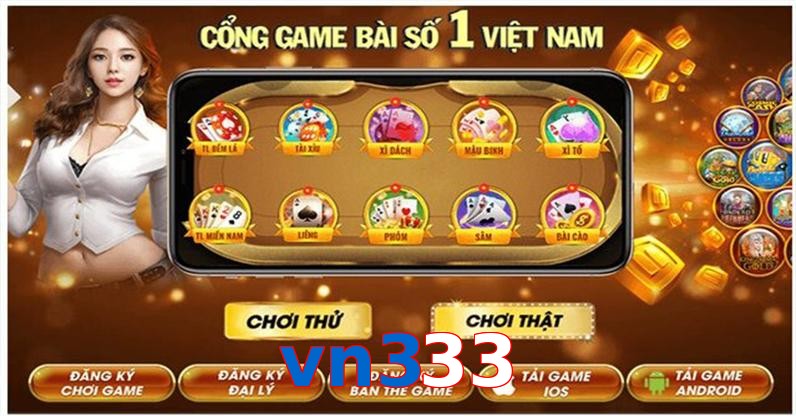 vn333