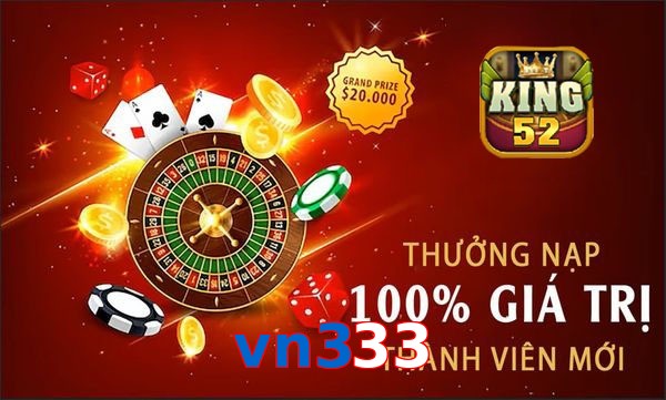 vn333