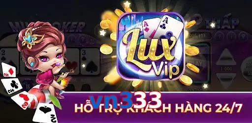 vn333
