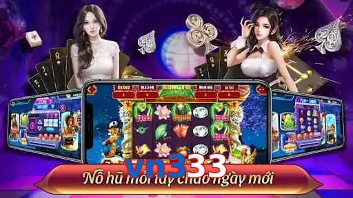 vn333