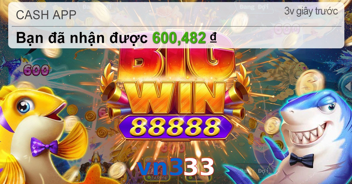 vn333