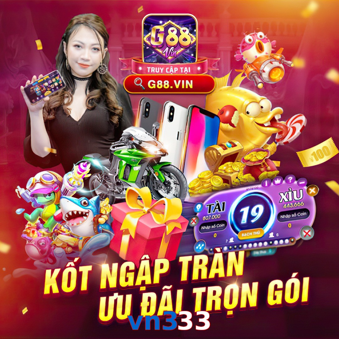 vn333