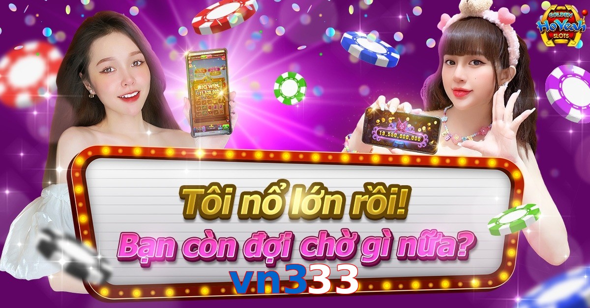 vn333
