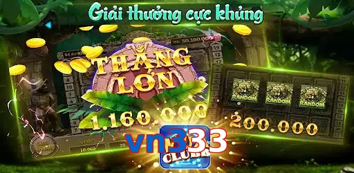 vn333