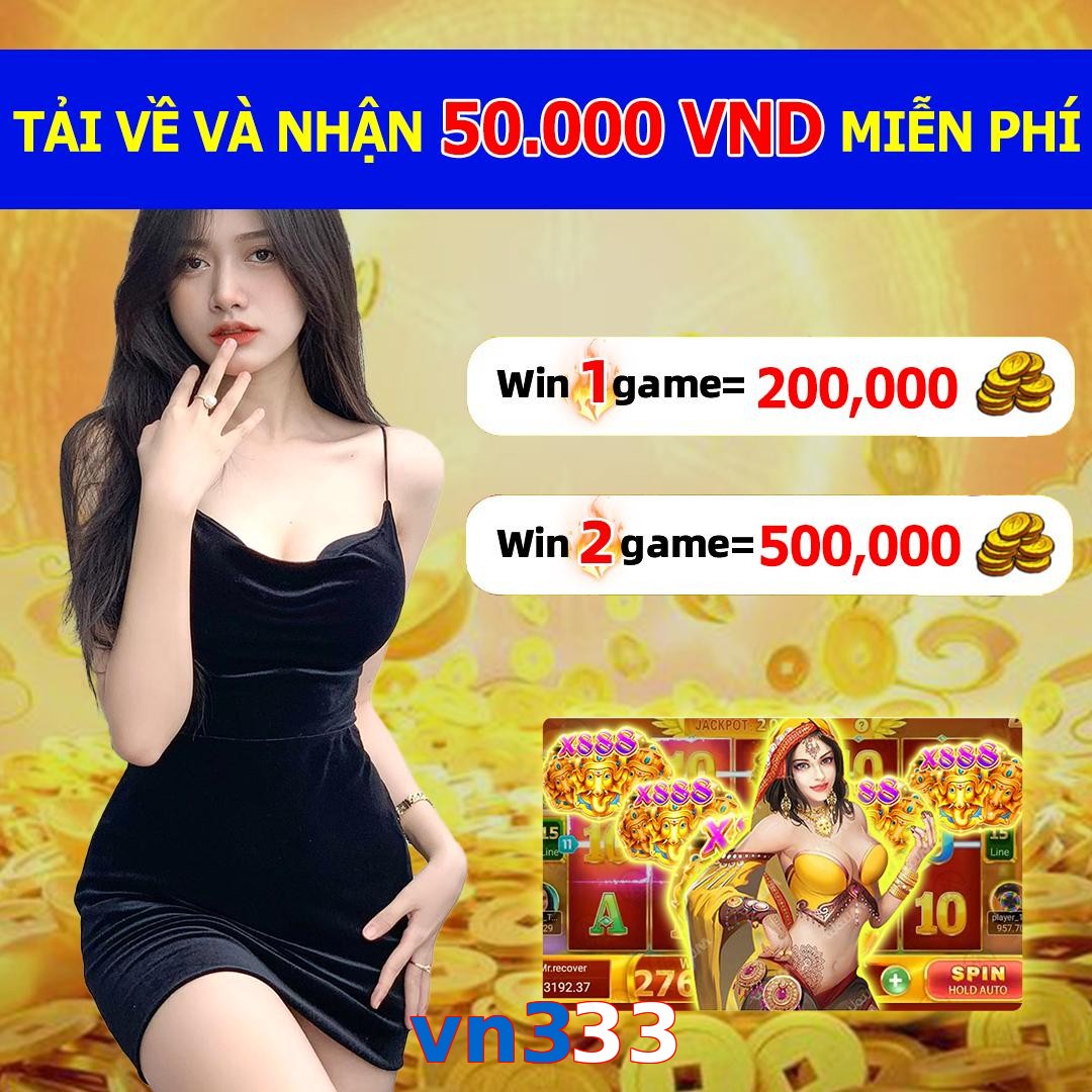 vn333