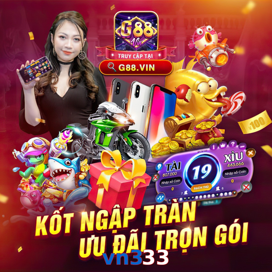 vn333