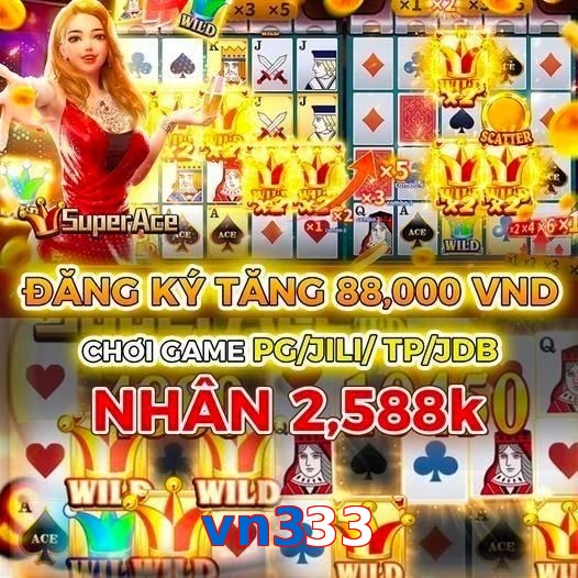 vn333