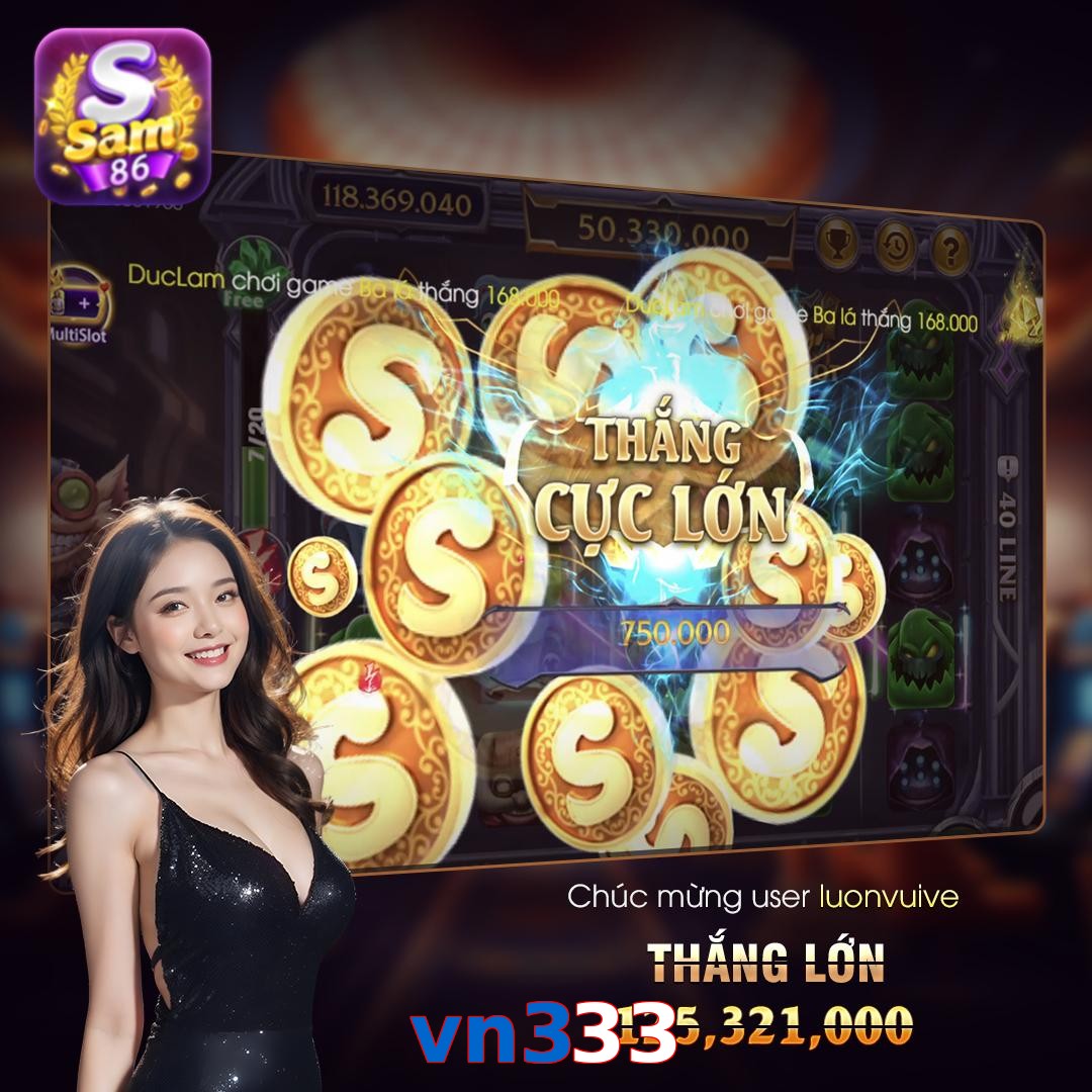 vn333