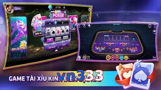 vn333