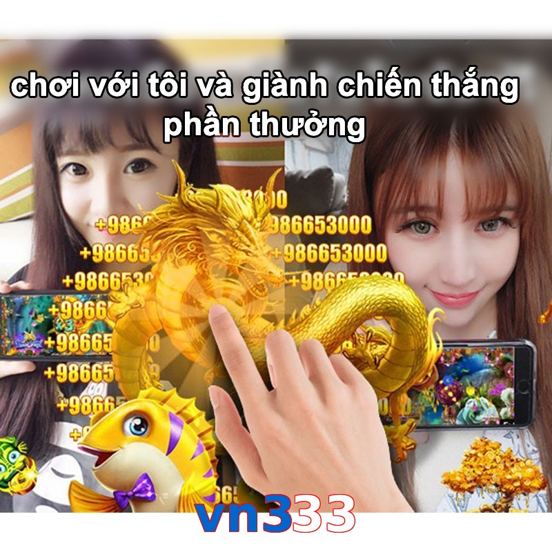 vn333