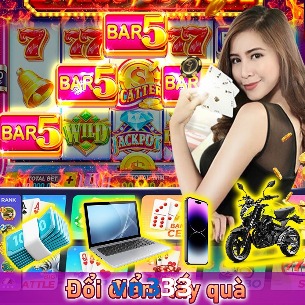 vn333