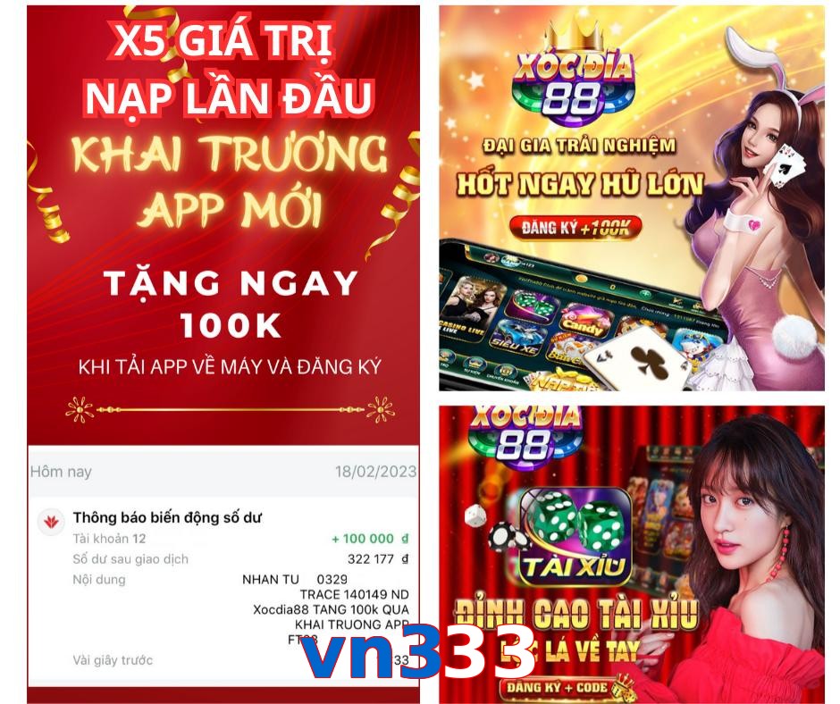 vn333