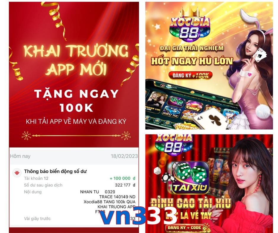 vn333