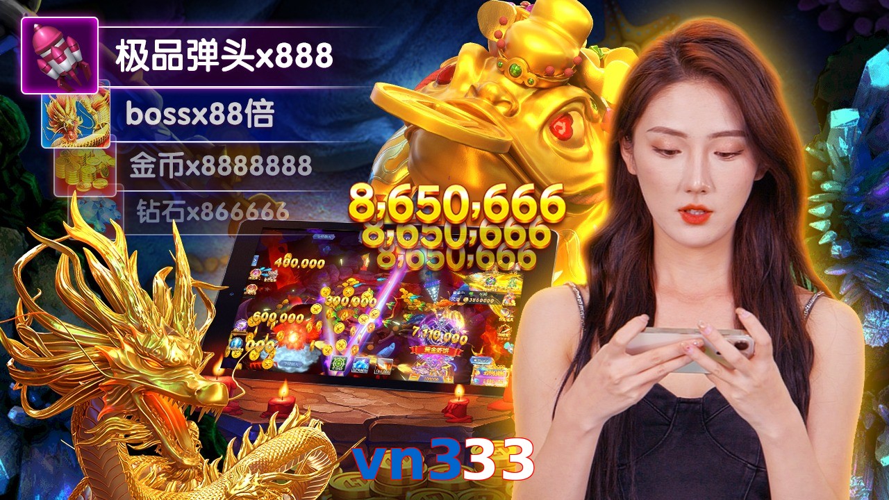 vn333