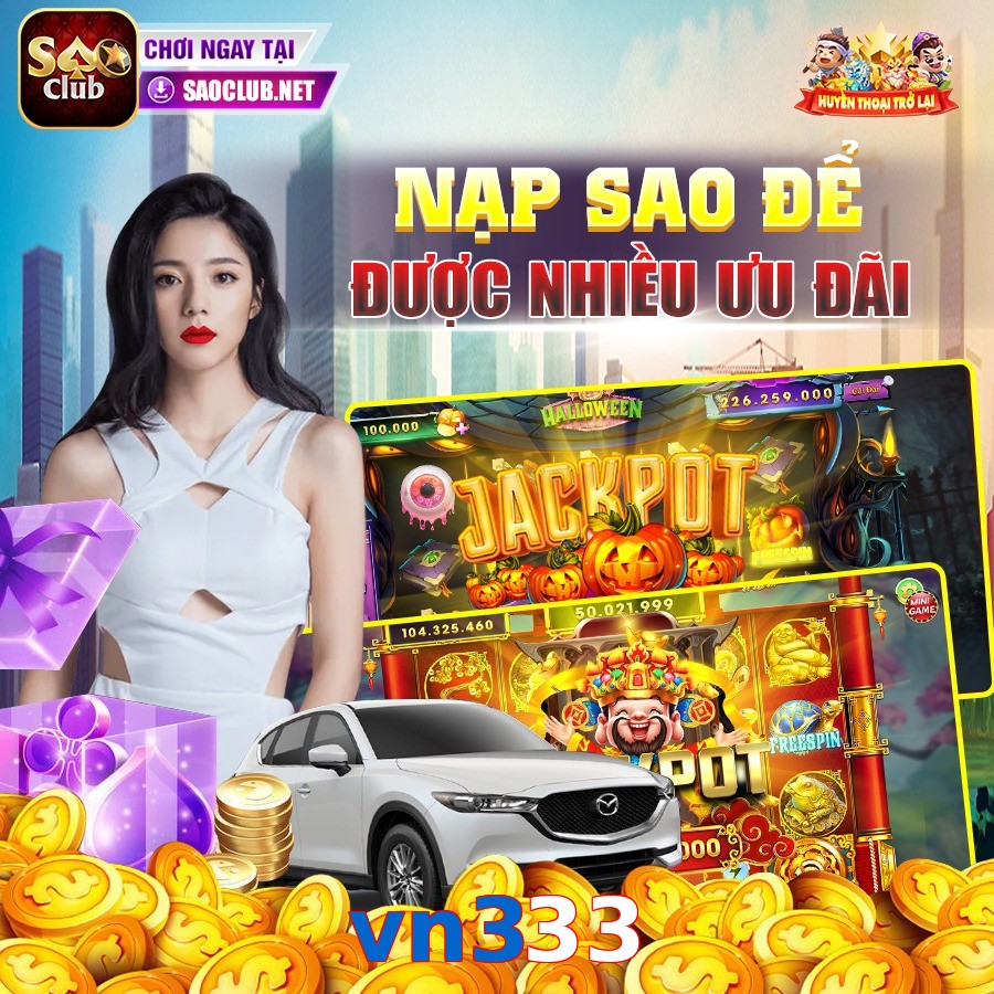 vn333